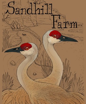 Sandhill Farm