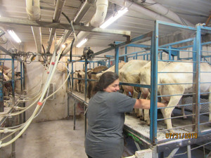 Mounds Valley View Goat Dairy,LLC