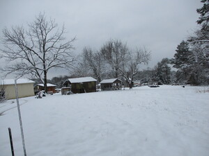 Greene Egg Farm