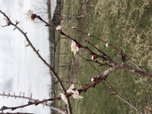 Benevolence Orchard & Gardens