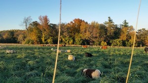 ParKelm Farm