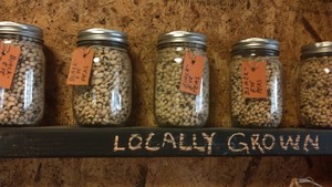 Mississippi Silver Hull Bean-Crowder Cowpeas