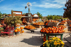Jack Creek Farms