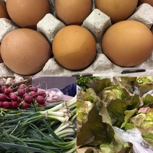 The Winter Farmers Market by Grow Oak Ridge