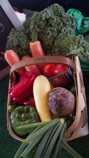 Skipper Farms