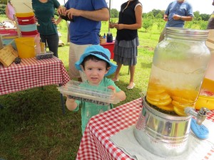 Sunshine's Berry Farm