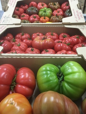 Deerfield Farms