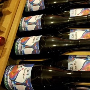 Captain Vineyards