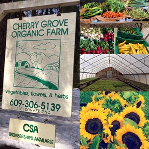 Cherry Grove Organic Farm          MS Conver, Inc.