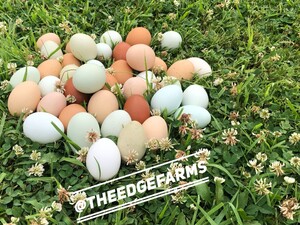 The Edge Farms