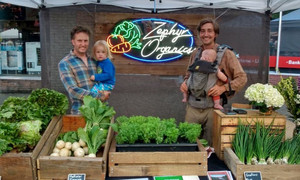 Zephyr Organics