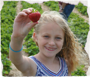 Brouwer Berries