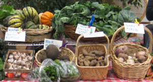 Countryside Church Unitarian Universalist Farmers Market
