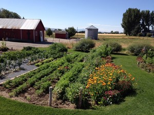 Uncommon Acres
