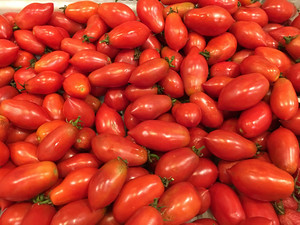 Amish Paste Tomato