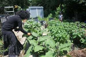 Flora Gothica Farms