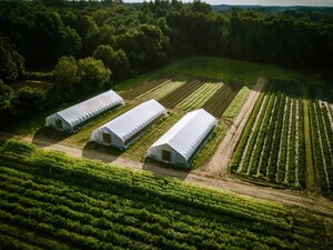 Siena Farms