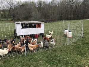 R&L Homestead