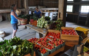 Joe's Brook Farm