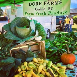Dorr Farms
