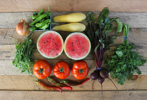 Edible Uprising Farm