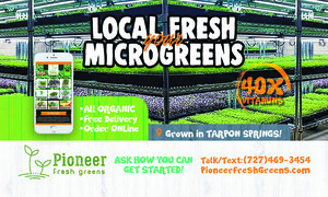 Pioneer Fresh Greens