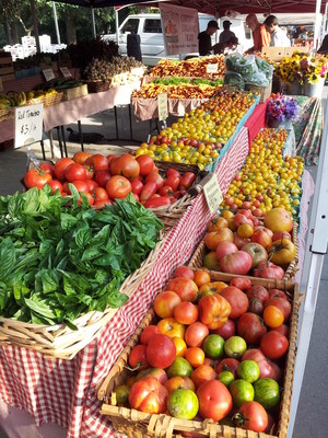 Cure Organic Farm
