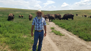 Rock River Bison Ranches