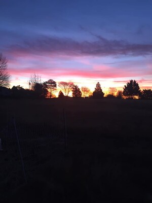 Cooper Farm