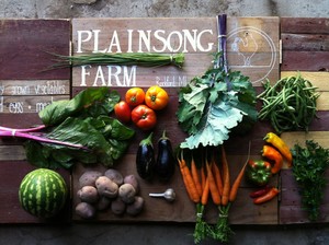 Plainsong Farm