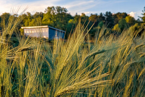 Sideways Farm & Brewery