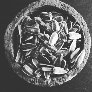 Giving Ground Seeds