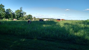 Hardler Farms LLC