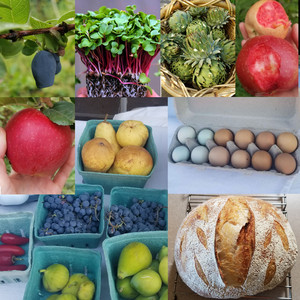 Happy Acre Farm