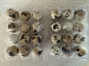 Freeman Quail
