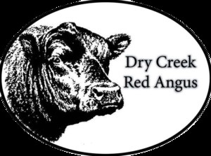 Dry Creek Red Angus