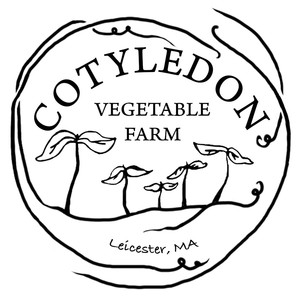 Cotyledon Community Vegetable Farm