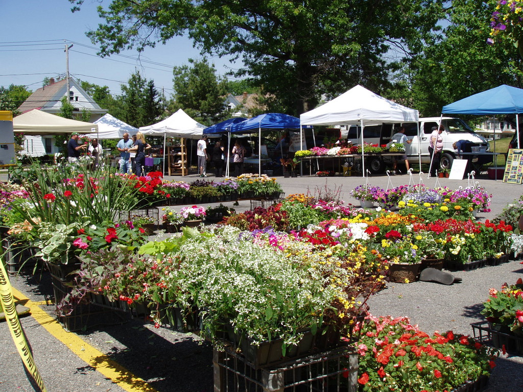 Schenectady farmers Market Ellis Health Center