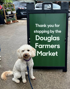 Douglas Farmers Market