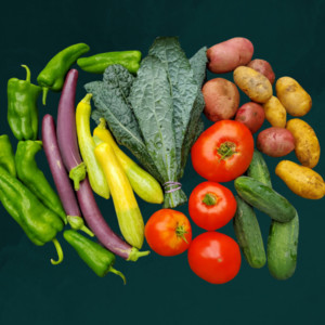 Encompass Farm