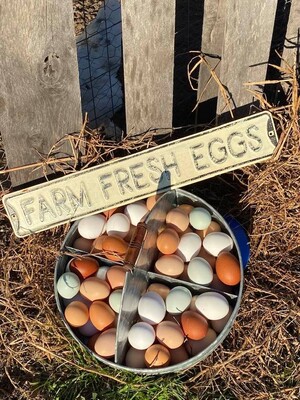 Funny Farm Eggs
