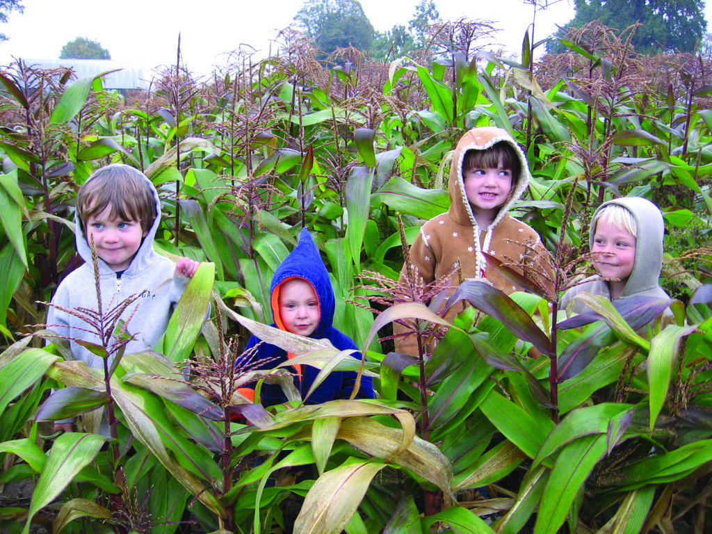 Whistling Train Farm - LocalHarvest