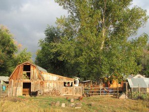 Woolly Goat Farm