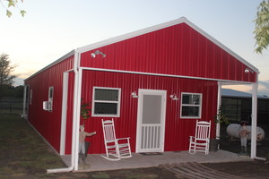 N&P Farm & Dairy
