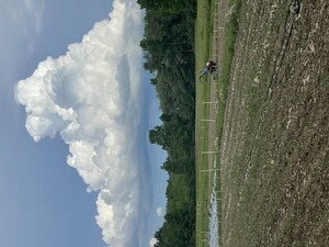 Convergence Farms
