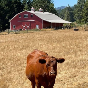 Living The Dream Farm & Ranch, LLC