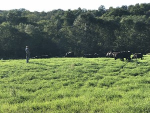 Beaver Brook Ranch