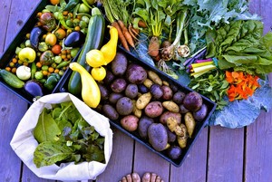 Fruitdale Farm