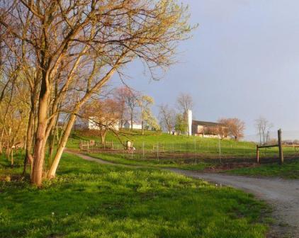 Gorman Heritage Farm - LocalHarvest