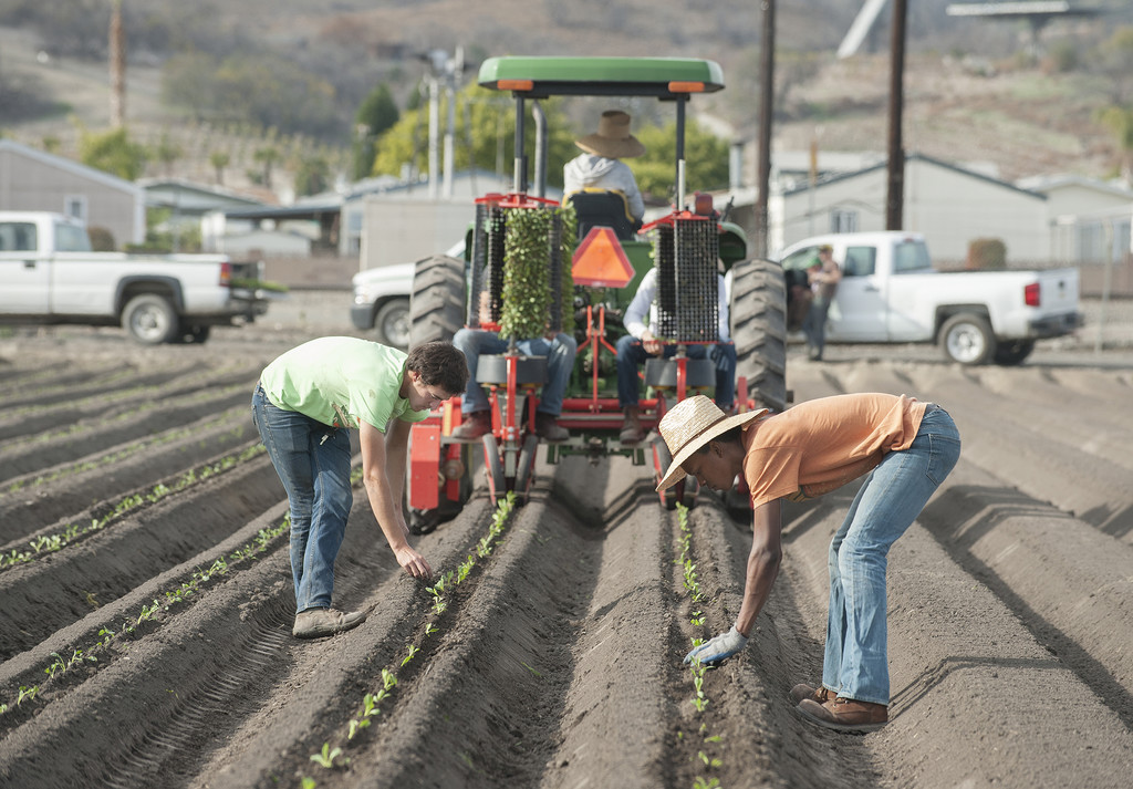 Poly Pack, Cal Poly Pomona University LocalHarvest